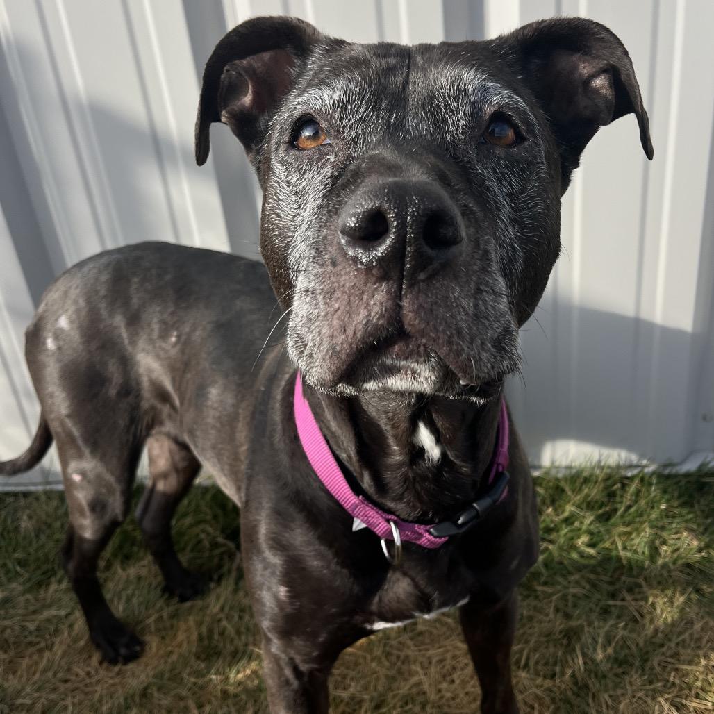 Mama Odie — thumbnail 2