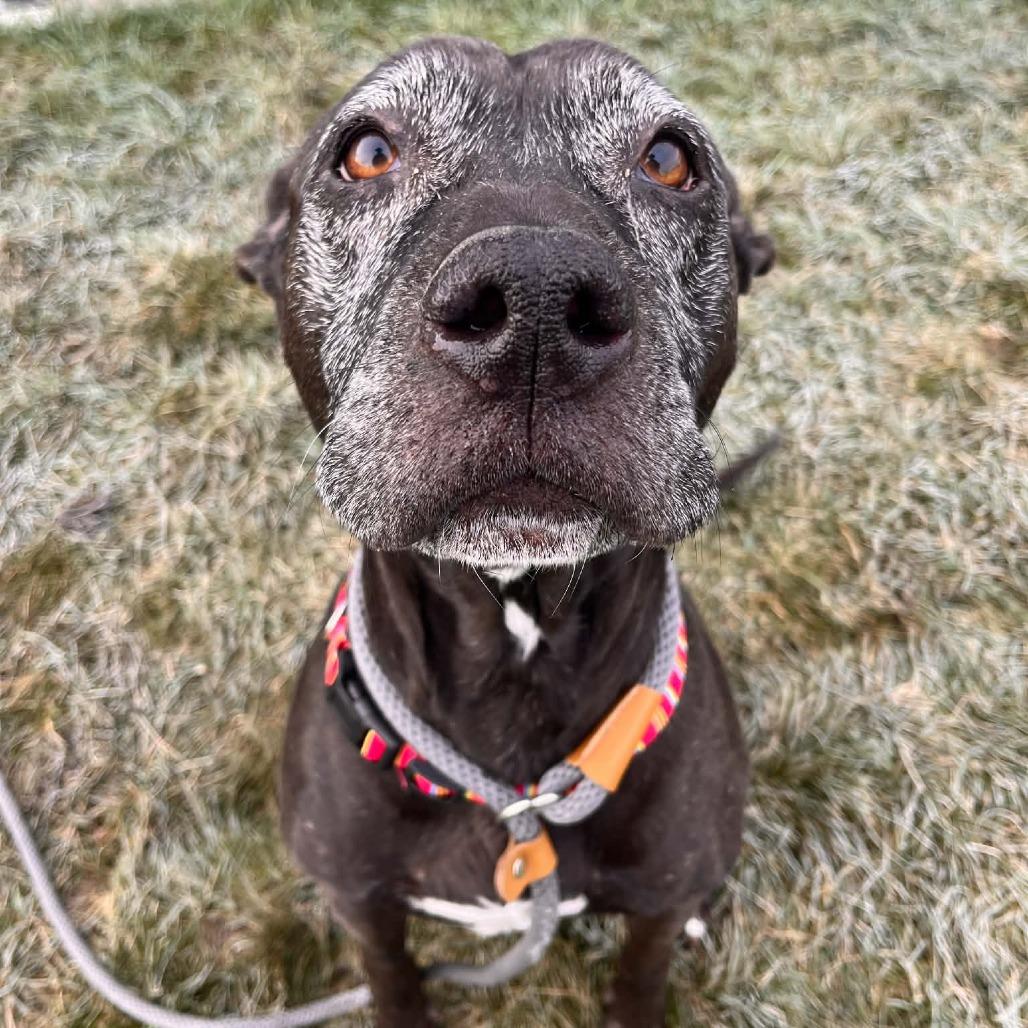 Mama Odie — thumbnail 3