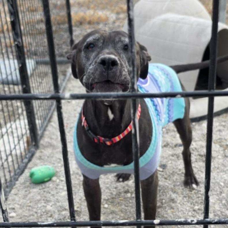 Mama Odie — thumbnail 4