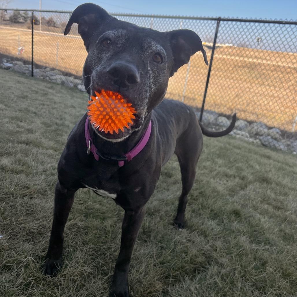 Mama Odie — thumbnail 5