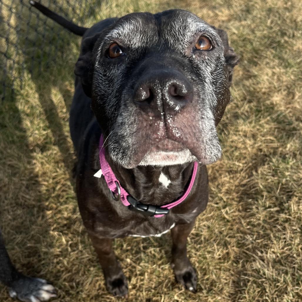 Mama Odie — thumbnail 6