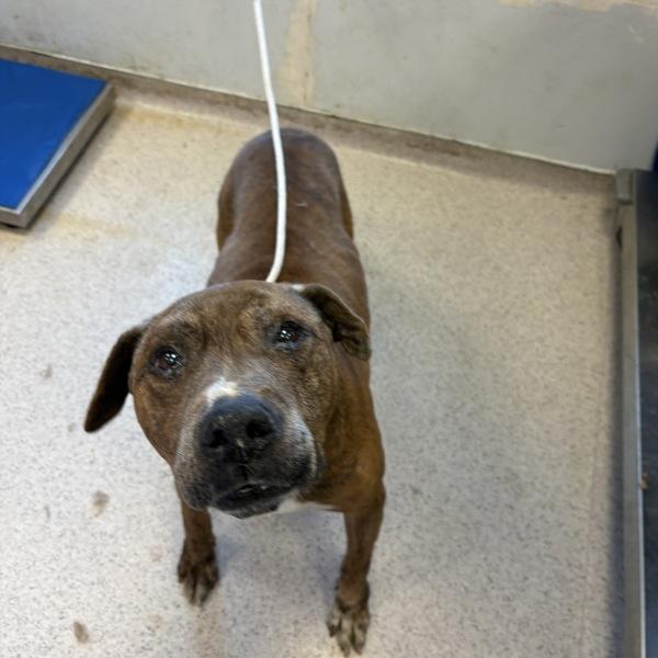 Sir Lake — thumbnail 2