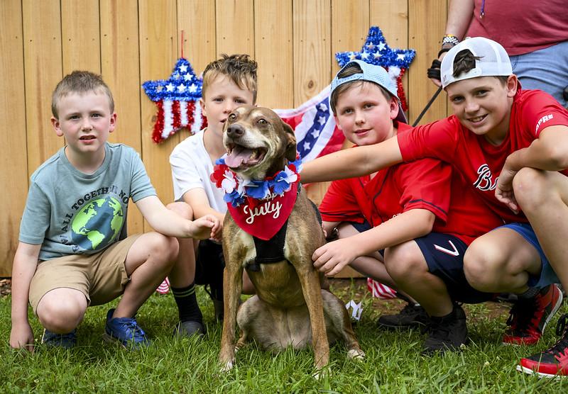 Enlarge Mia, a Adoptable mixed breed in Marietta, GA image 5/6