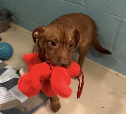 Wisconsin — thumbnail 2