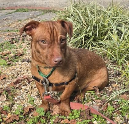 Wisconsin — thumbnail 3