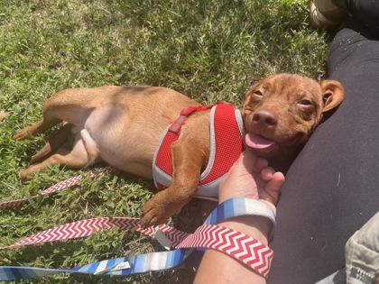 Wisconsin — thumbnail 4