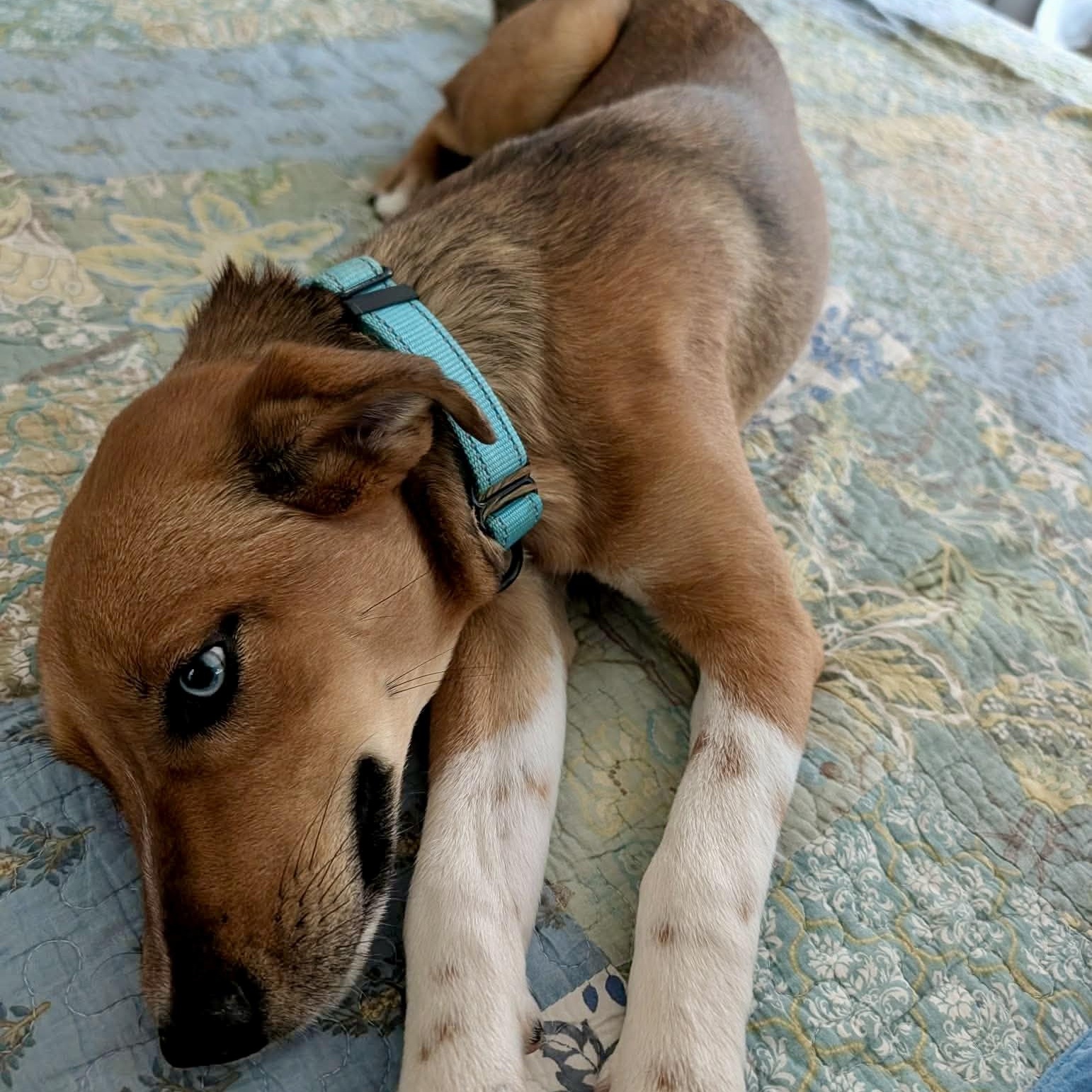 Kajal — thumbnail 5