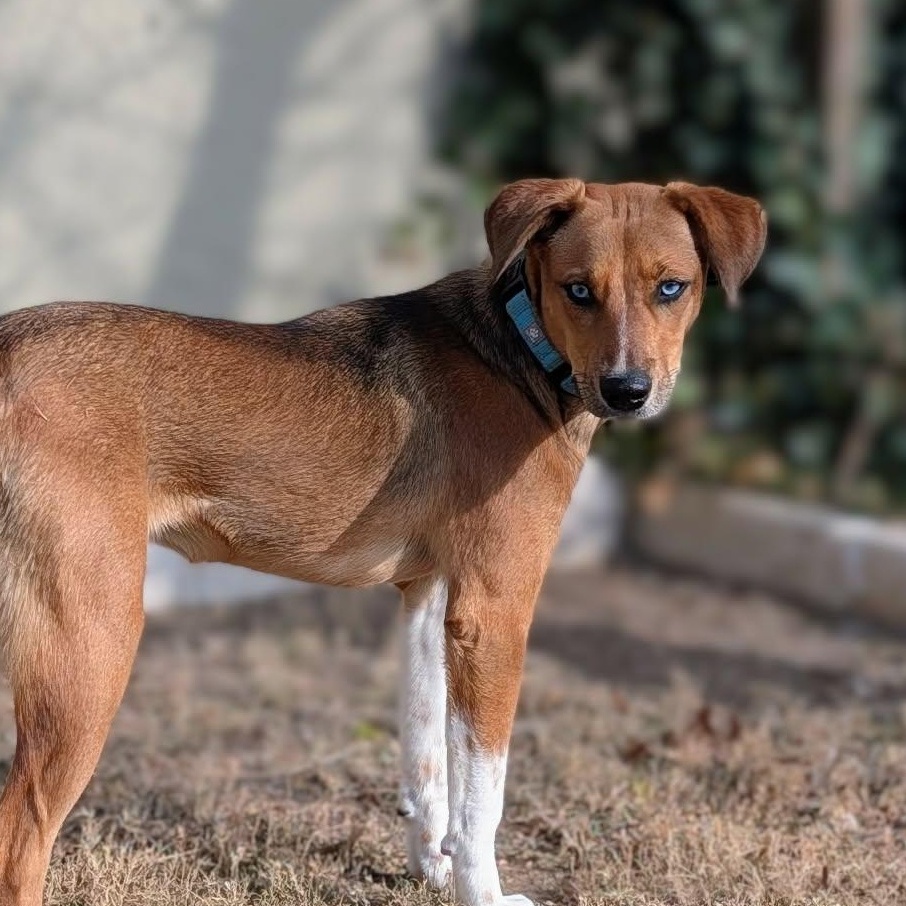 Kajal — thumbnail 6