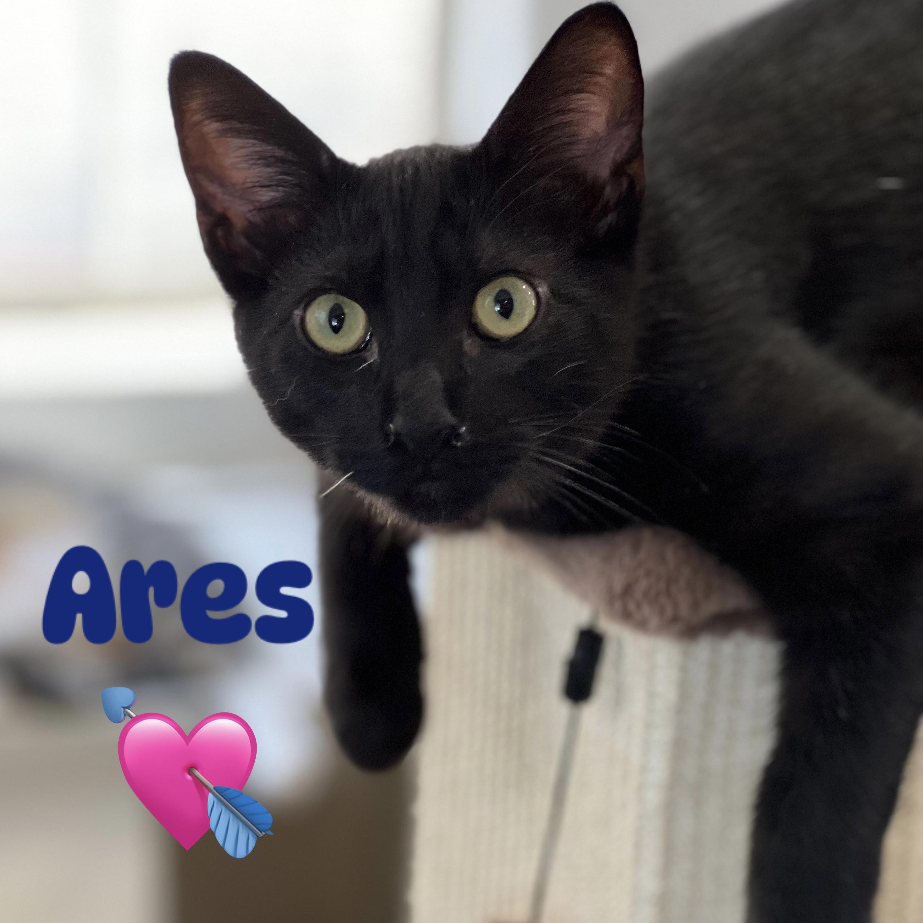 Ares