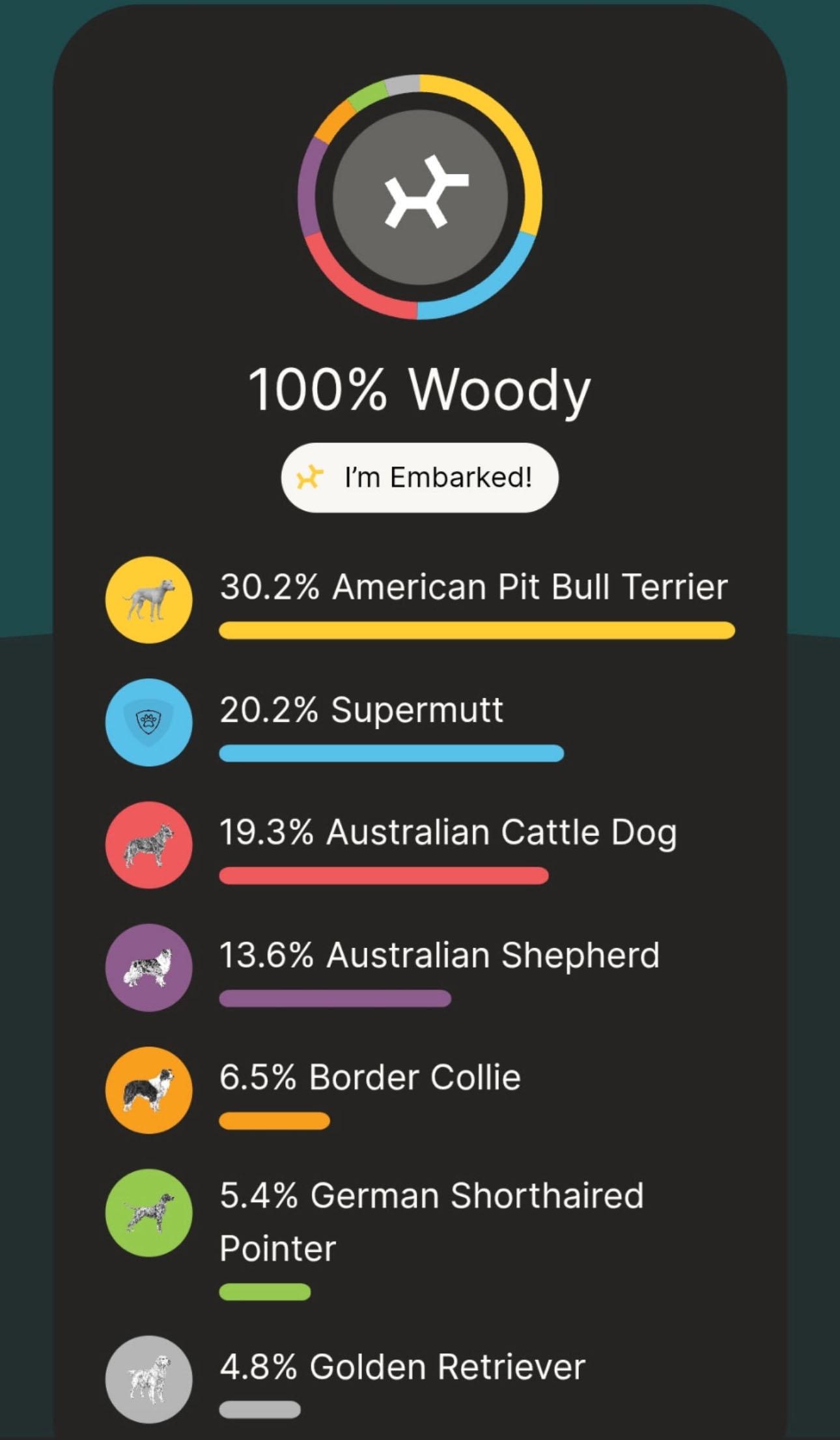 WOODY, a Adoptable Mixed Breed in Weatherford, TX image 5/6