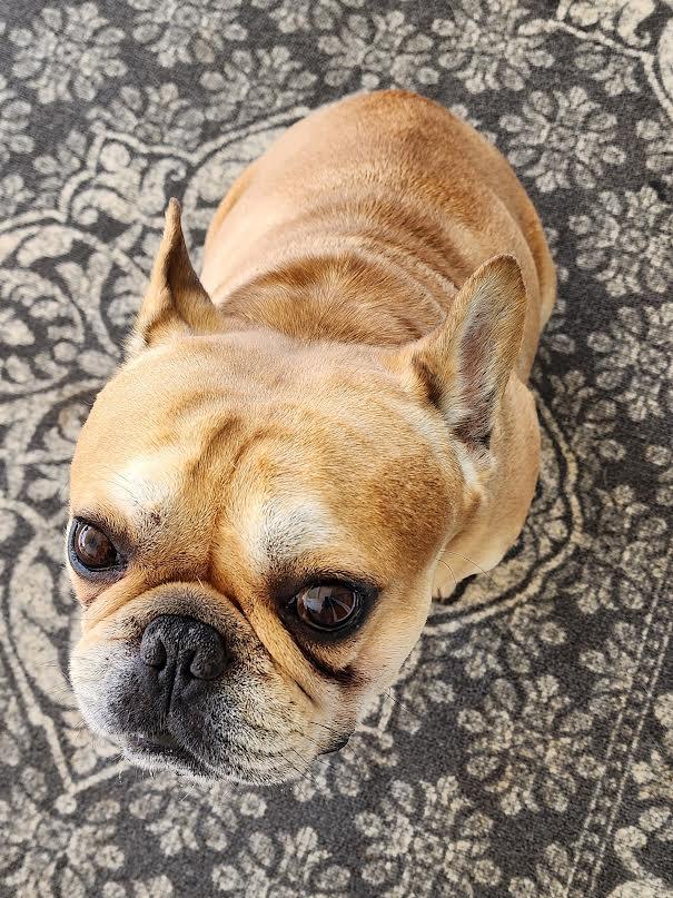 Woody photo 4