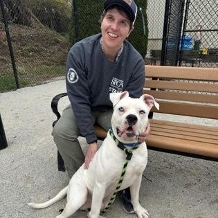 Enlarge Bubby, an adoptable American Bulldog in Philadelphia, PA image 5/6