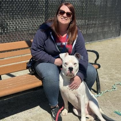 Enlarge Bubby, an adoptable American Bulldog in Philadelphia, PA image 6/6