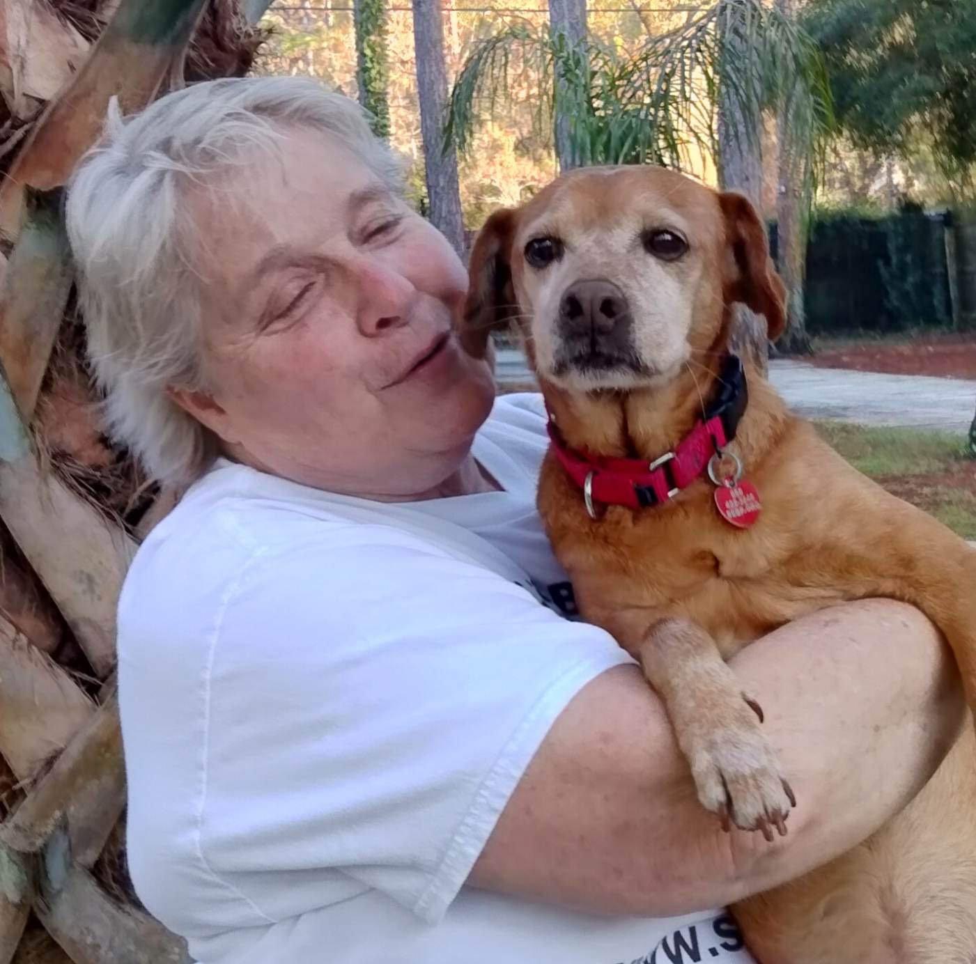 Kayden, a Adopted mixed breed in Dunnellon, FL image 3/3
