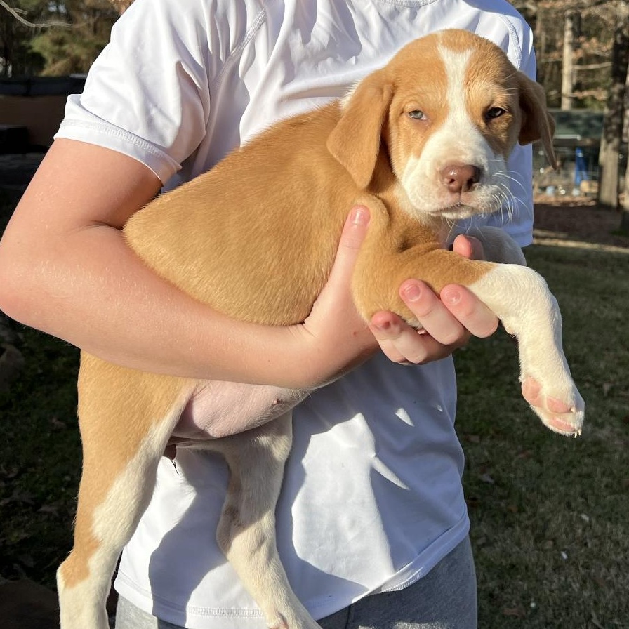 Swayzie — thumbnail 4