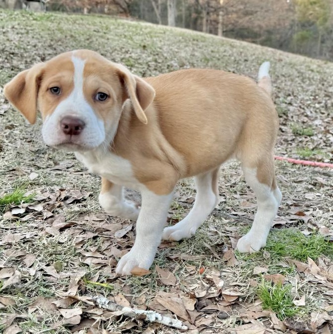 Swayzie — thumbnail 5