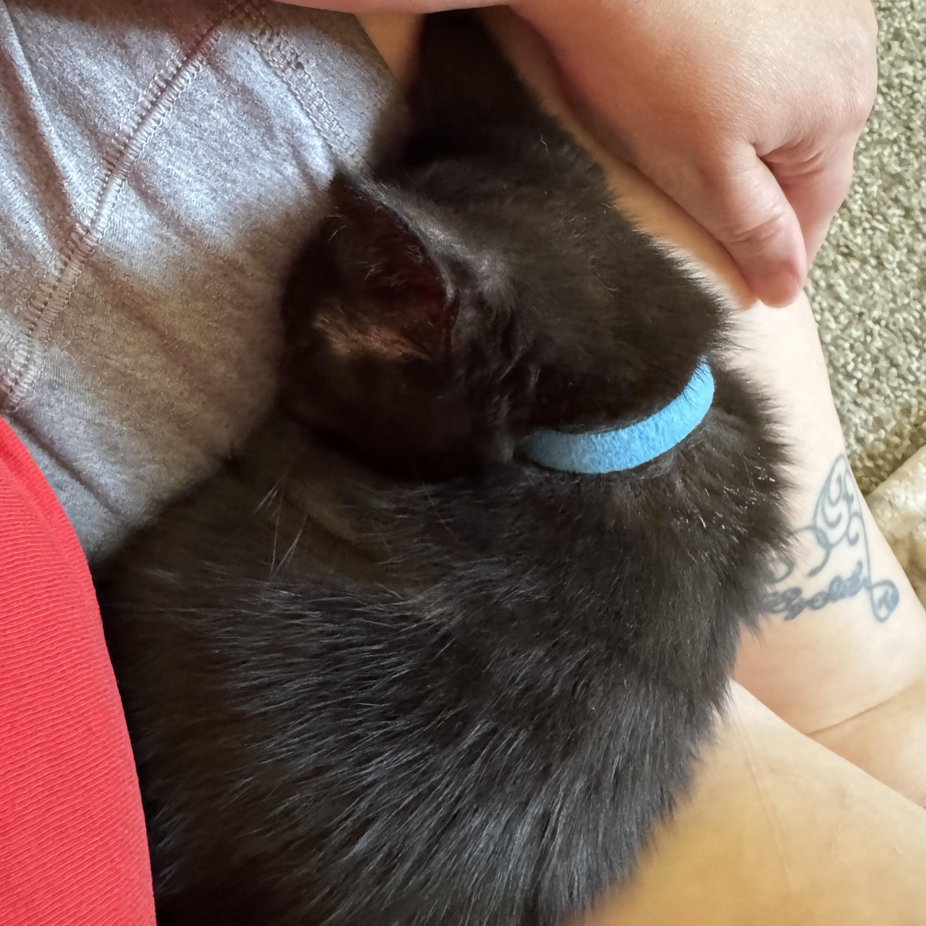 Jasper photo 2