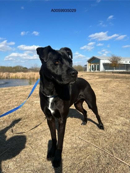 Alex — thumbnail 2