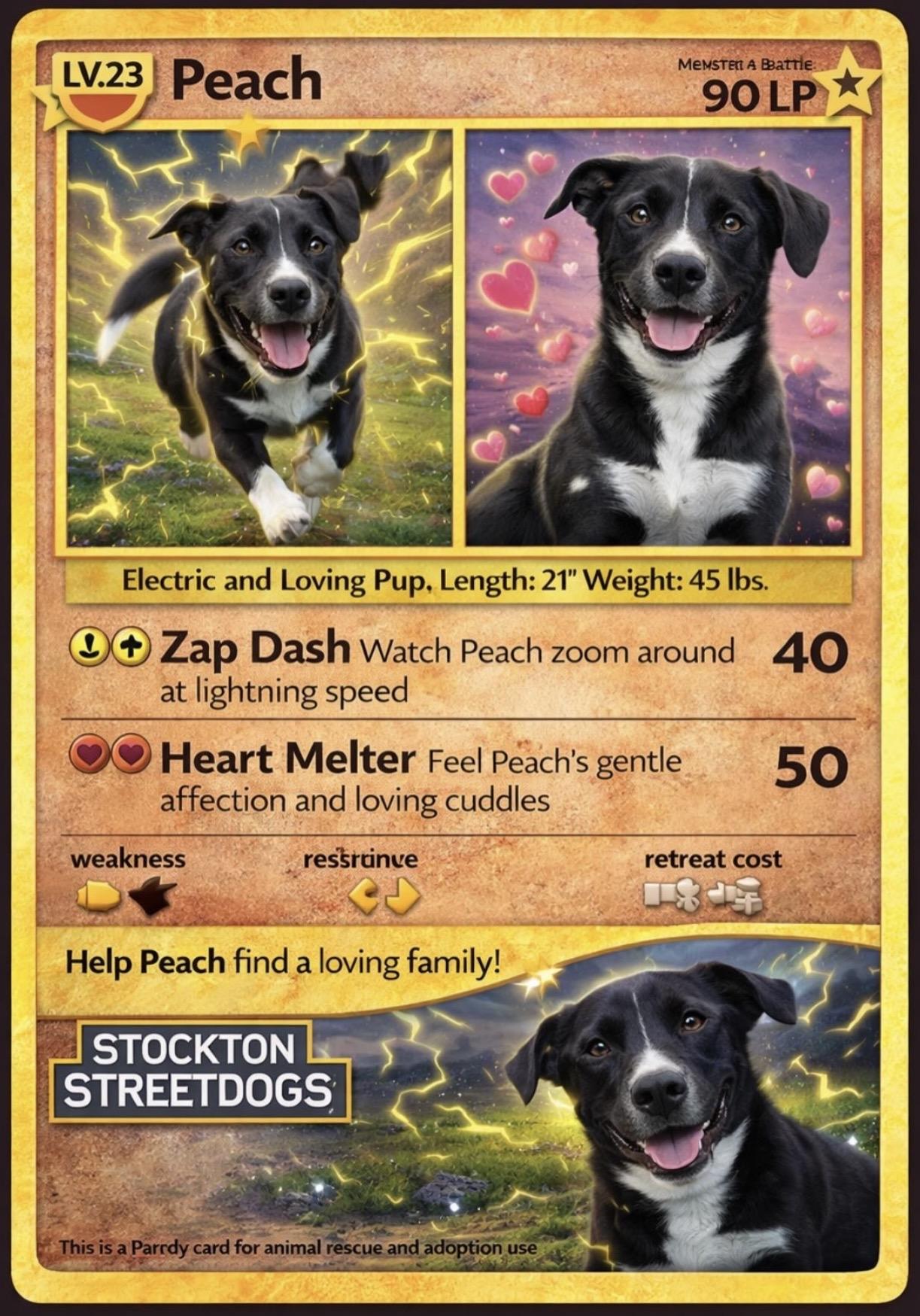 Enlarge Princess Peach, a Adoptable mixed breed in stockton, CA image 6/6