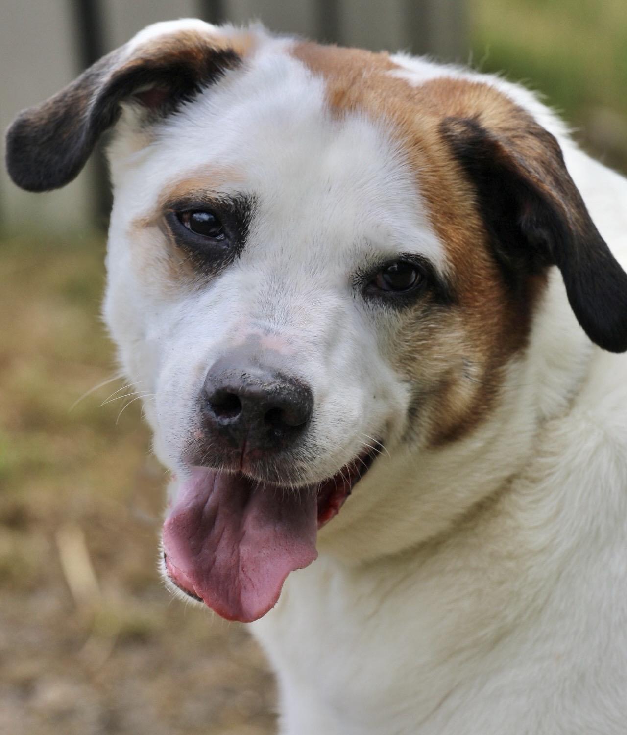 Chunk - My fee has been sponsored!