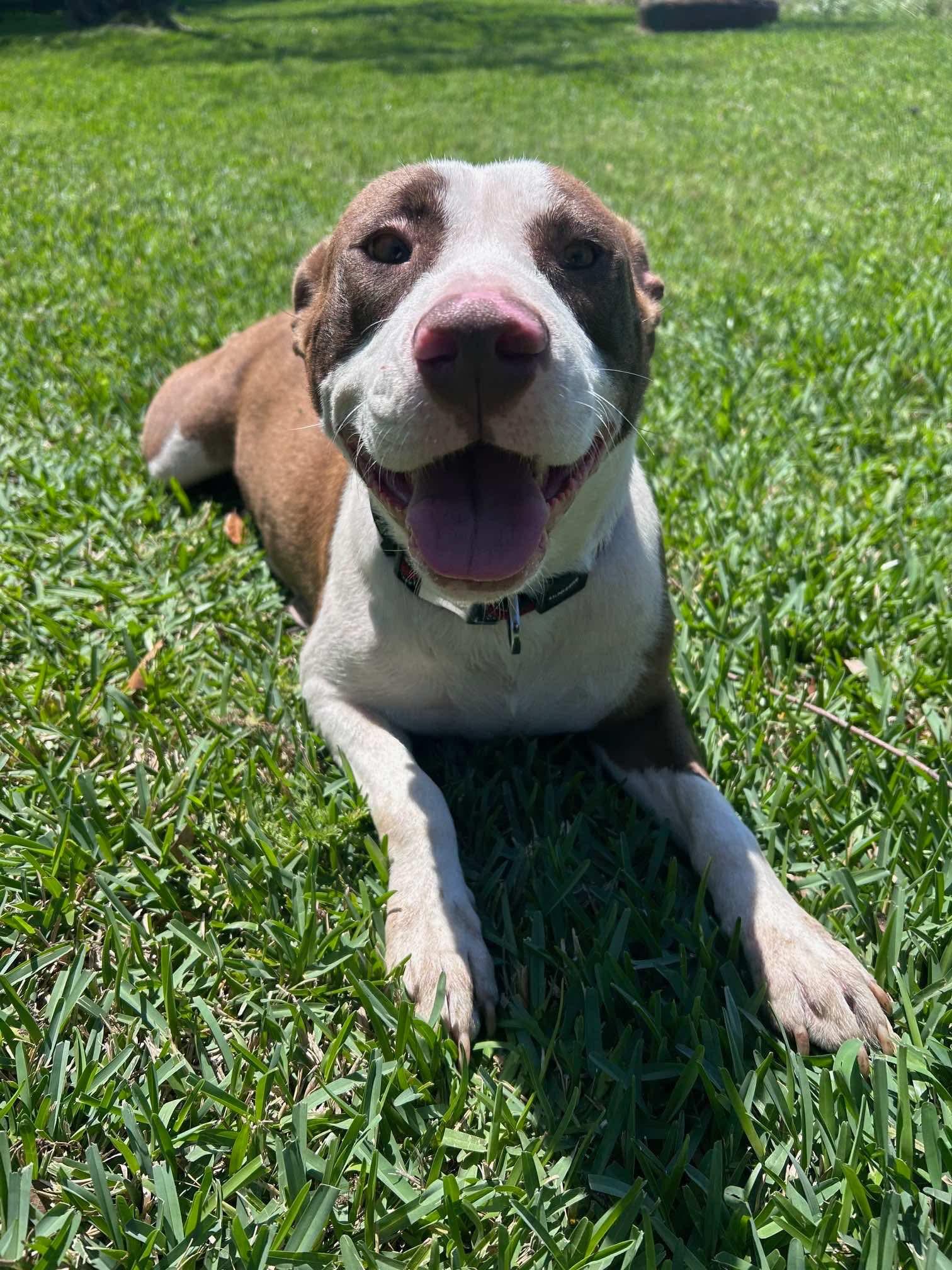 Betsy photo 5