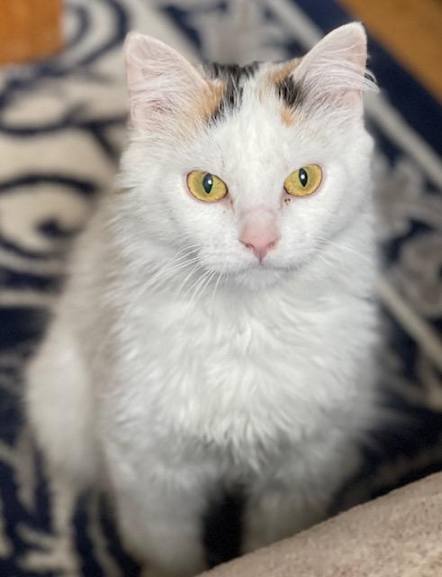 Autumnurgent! thumbnail 2