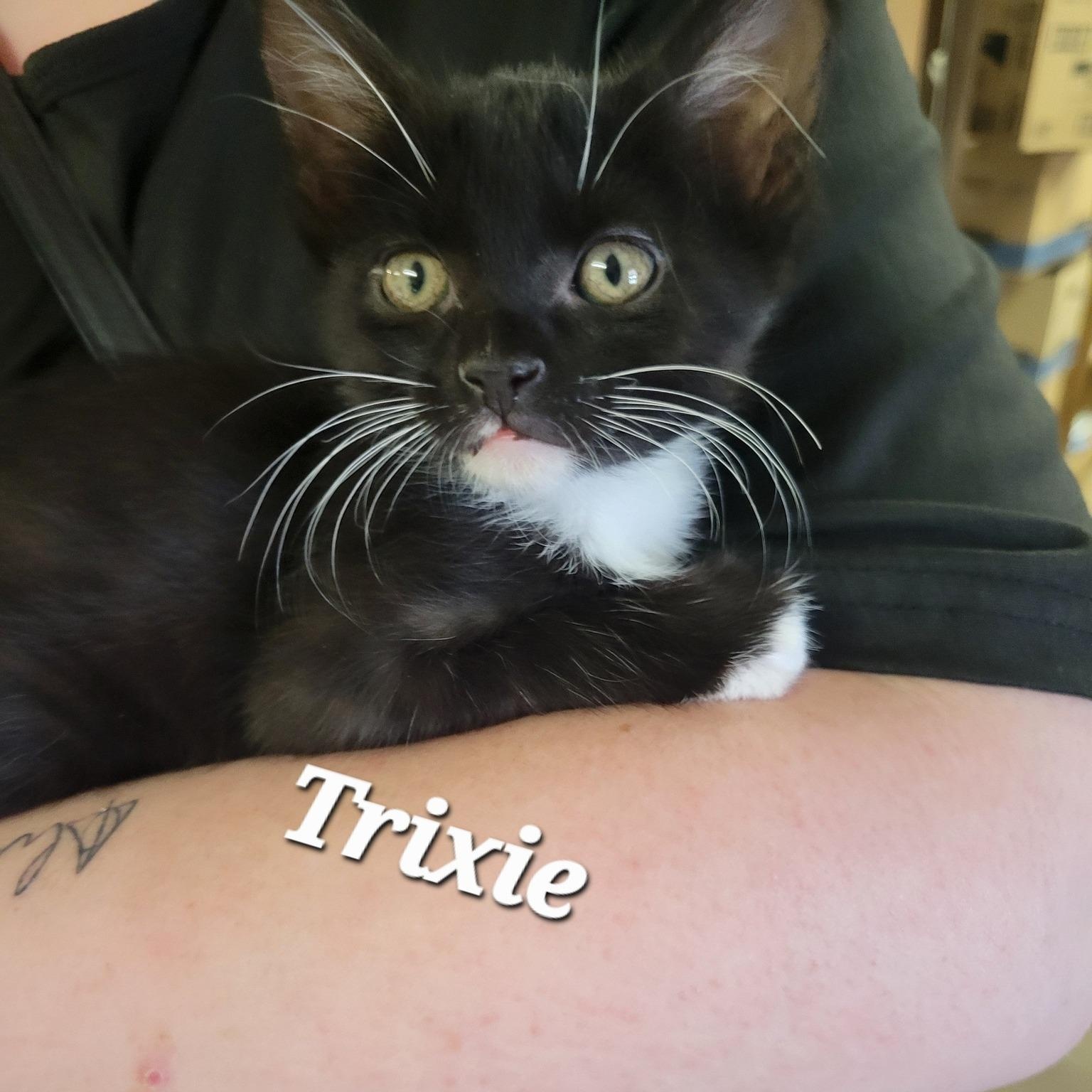 Trixie