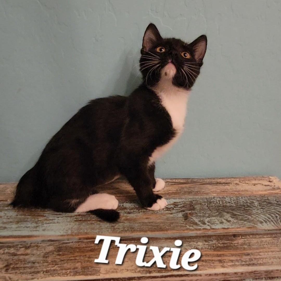 Trixie