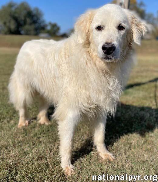 Jose In Tn  thumbnail 3