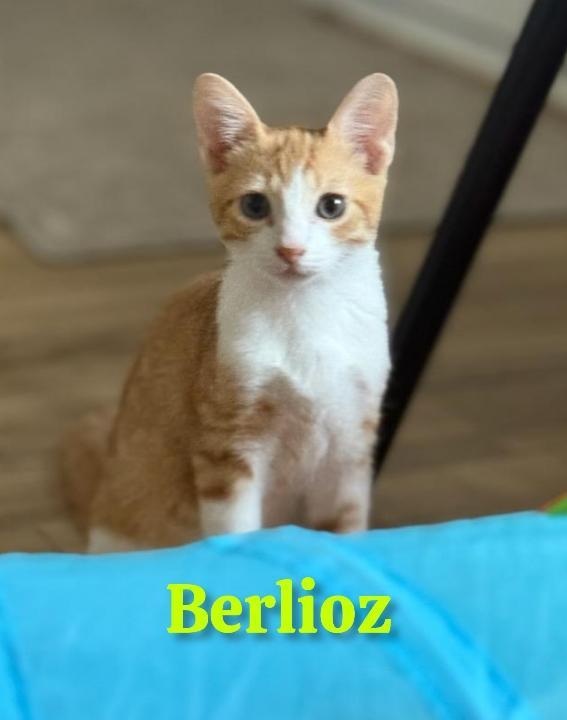 Berlioz