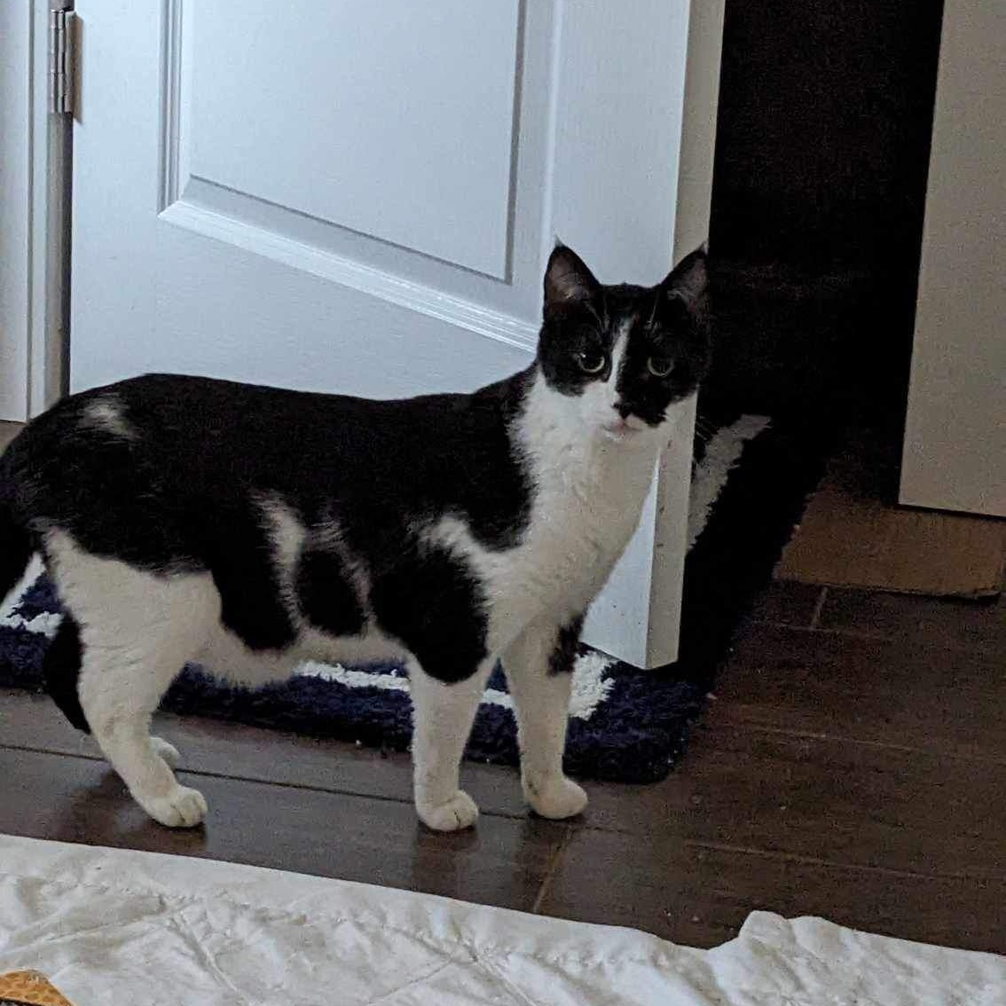 Hyde- in foster home