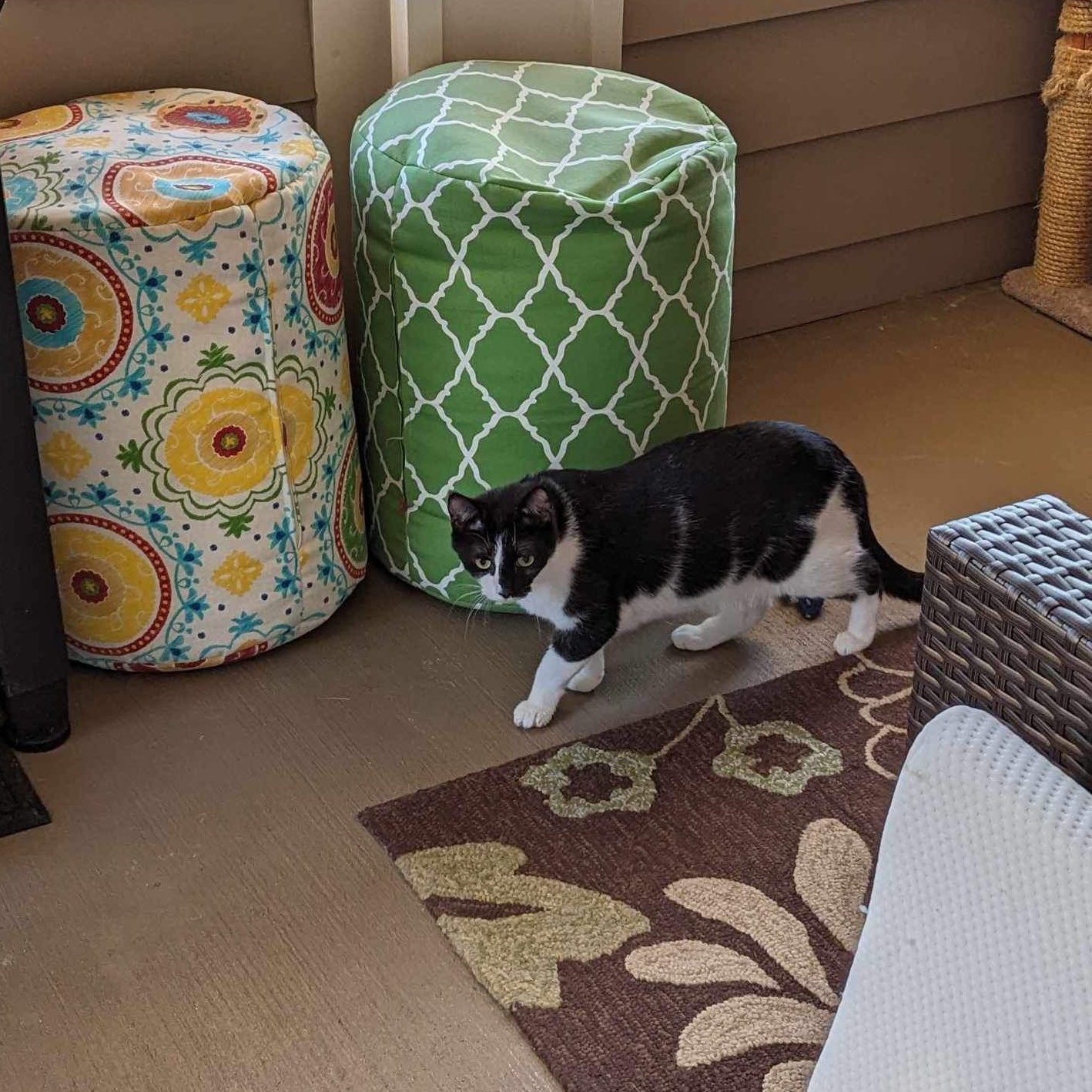 Hyde- in foster home