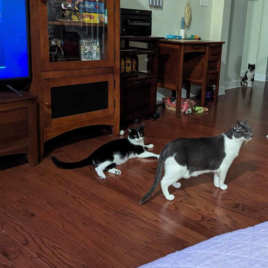 Hyde- in foster home