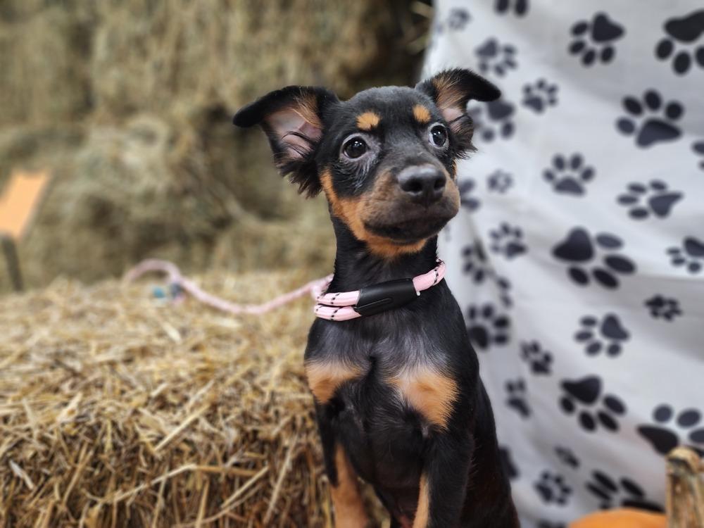 Everleigh thumbnail 3