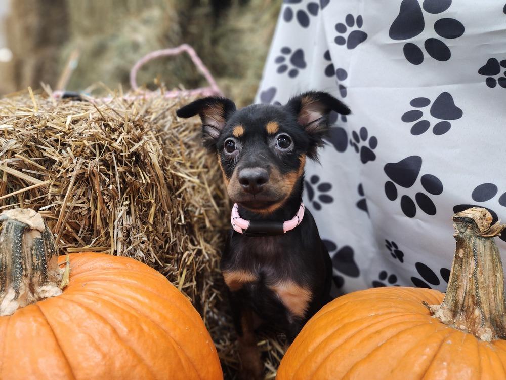 Everleigh thumbnail 4