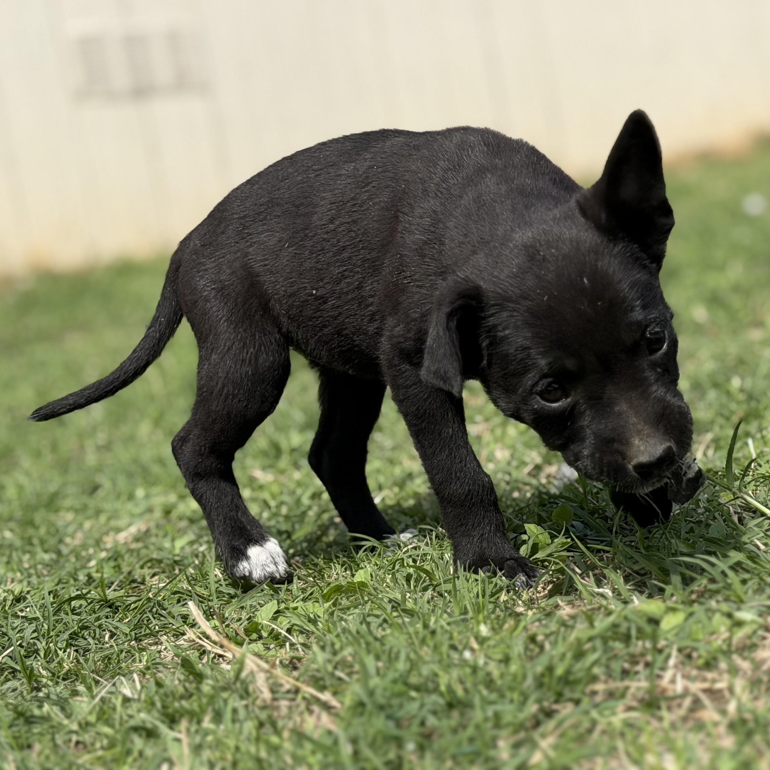 Aquarius — thumbnail 5