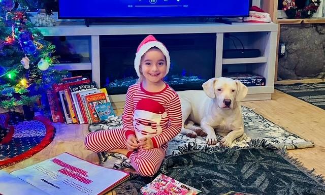 Sugar, Adoptable, Puppy Female Mixed Breed.