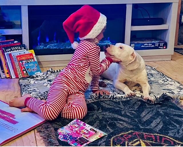 Sugar, a Adoptable mixed breed in Willits , CA image 5/6