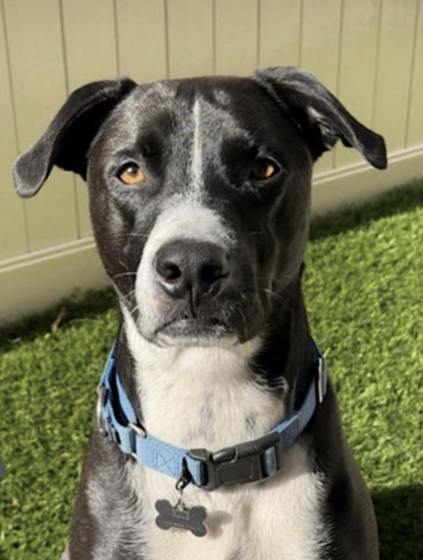 Blue — thumbnail 3