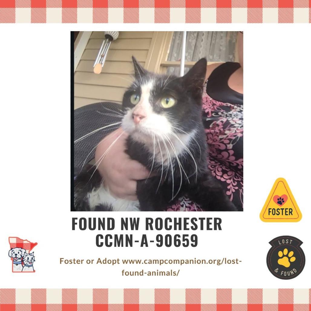 FOUND NW ROCHESTER — thumbnail 2