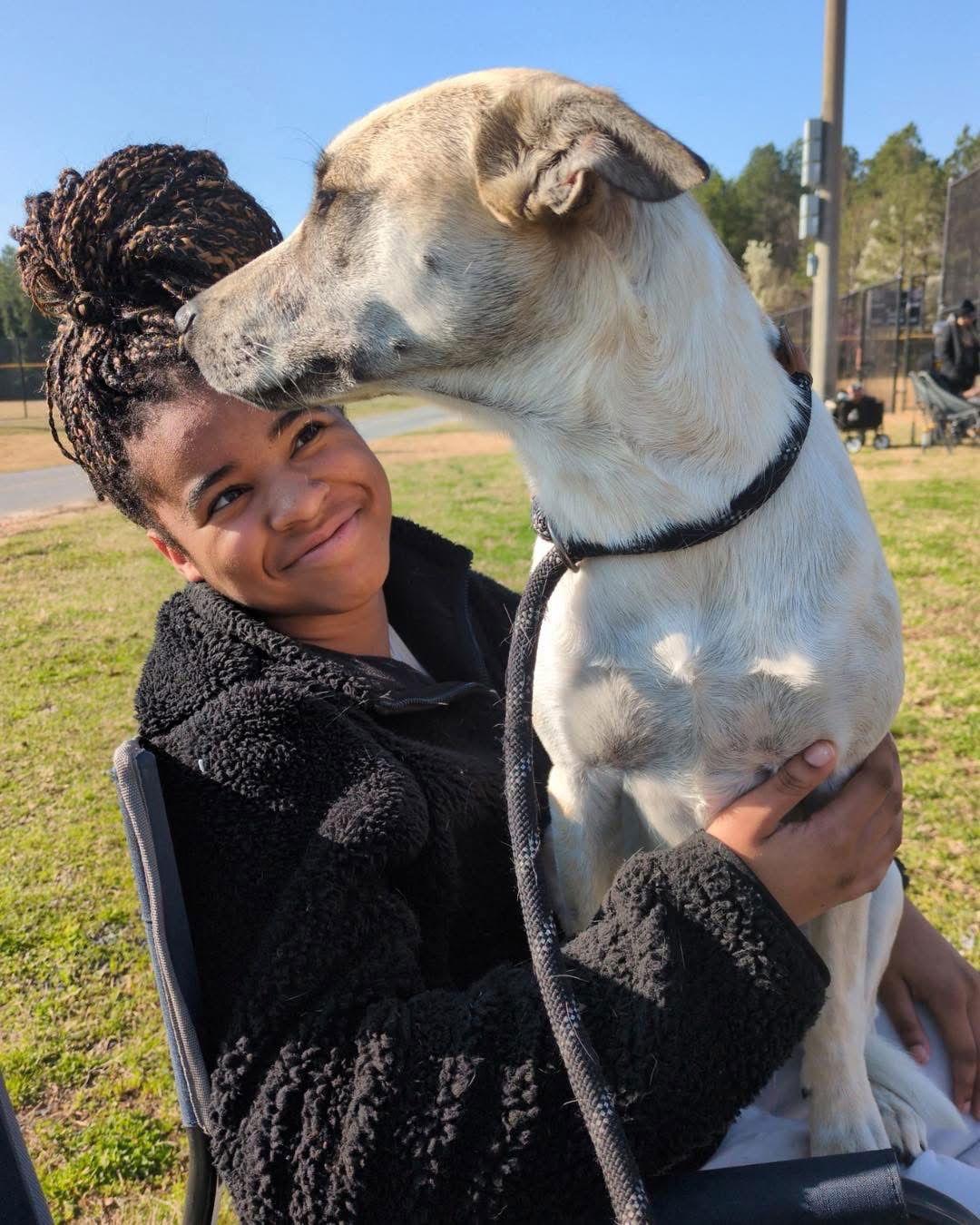 Misti, Adoptable, Young Female Terrier.