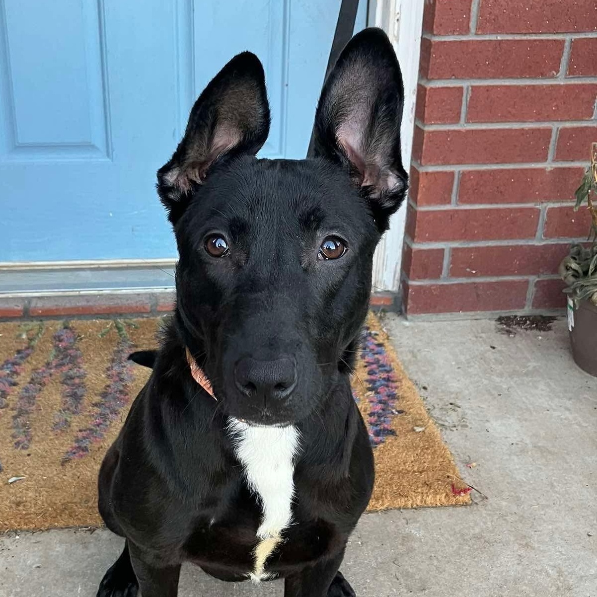 Terri — thumbnail 4