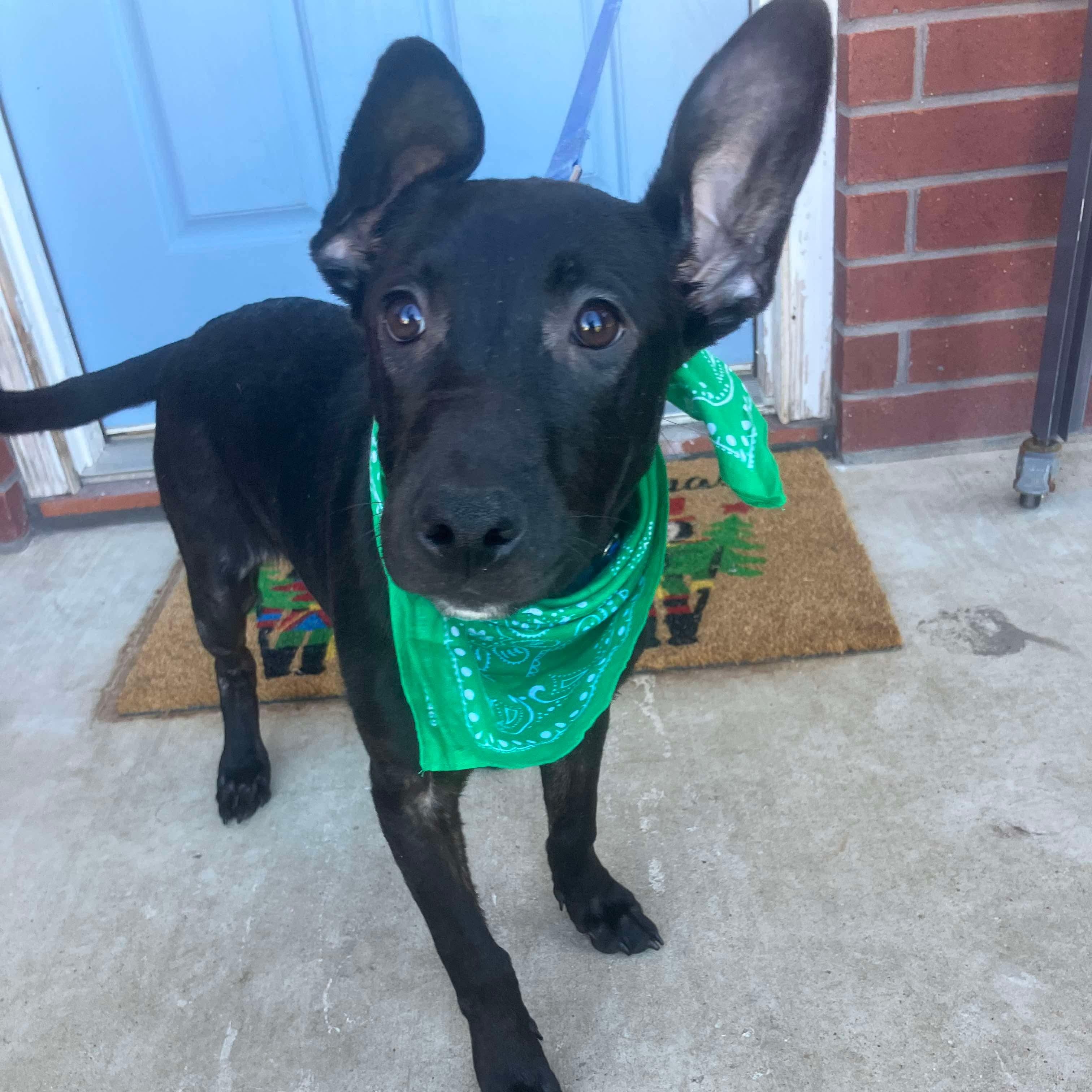 Terri — thumbnail 6