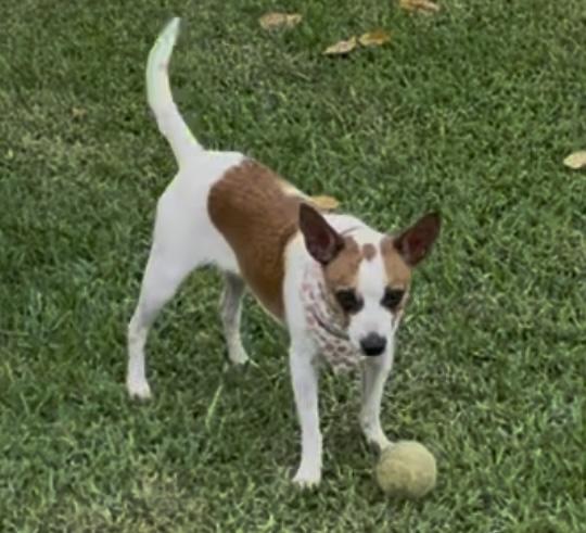 Dottie in Texarkana TX
