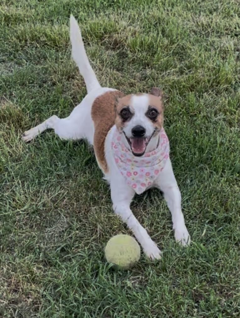 Dottie in Texarkana TX