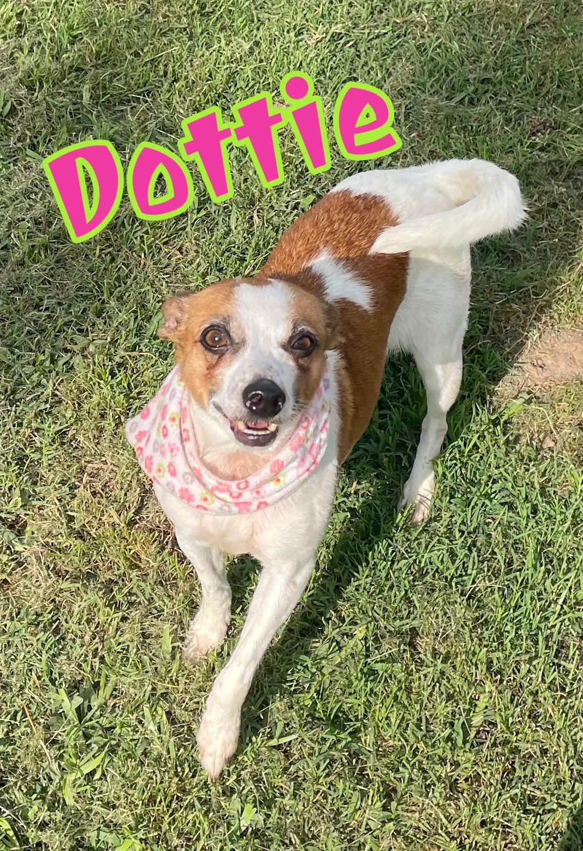 Dottie in Texarkana TX
