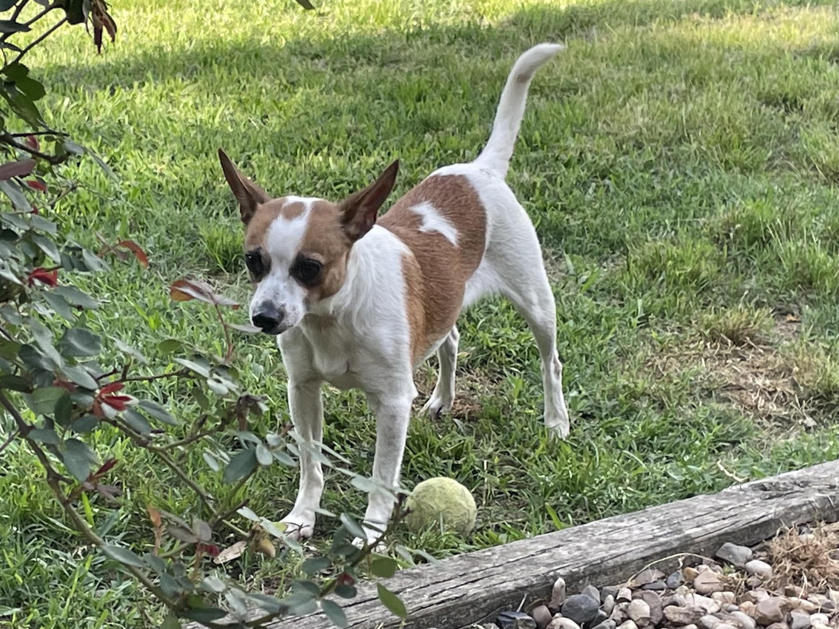Dottie in Texarkana TX