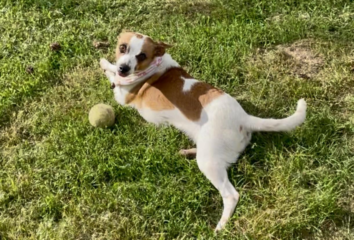 Dottie in Texarkana TX