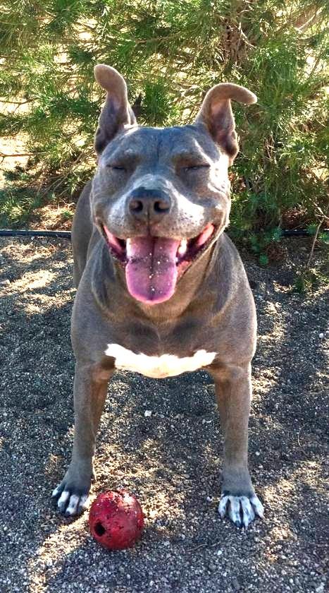 Cordelia — thumbnail 2