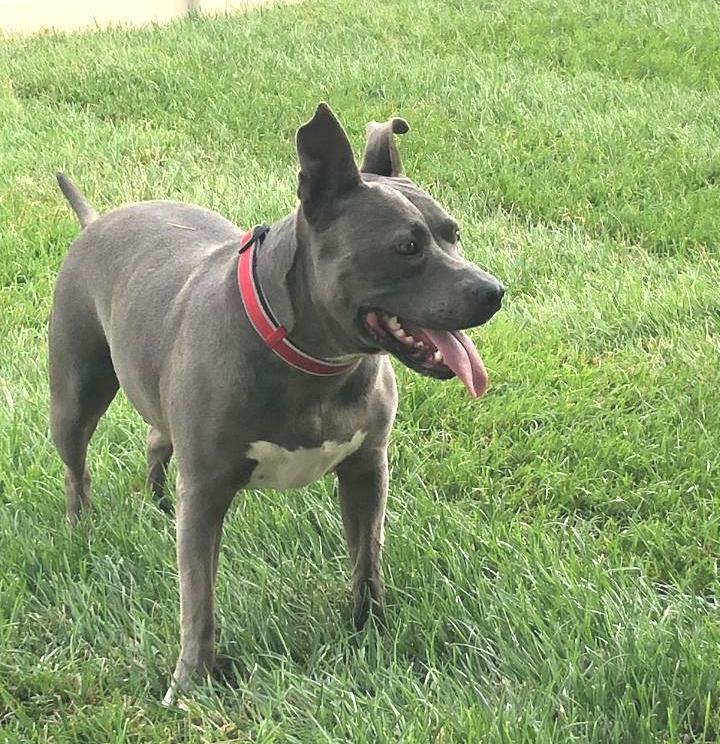 Cordelia — thumbnail 5